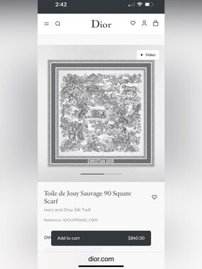 Dior Toile Silk Scarf